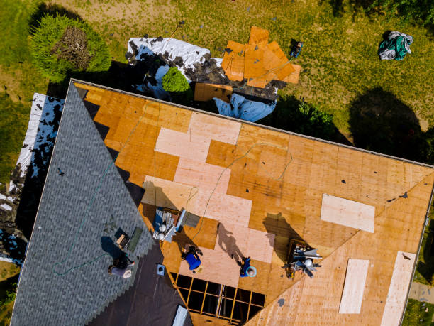 Best Roof Waterproofing Services  in Village Green, NY